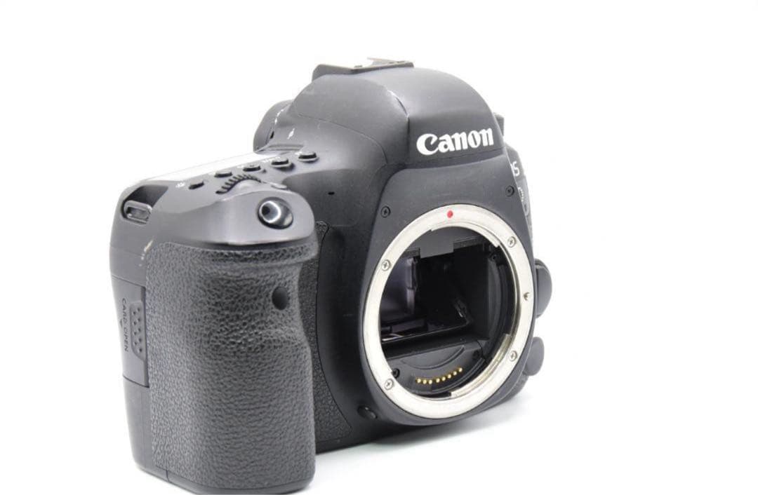 Canon EOS 6D Mark II 本体　充電器、ストロボ付き