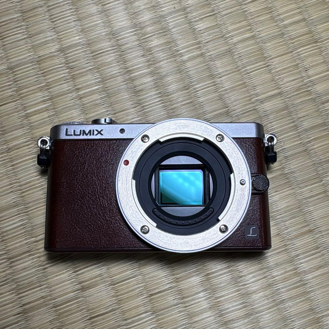パナソニック ルミックス ミラーレス一眼 GM1S レンズキット 訳あり