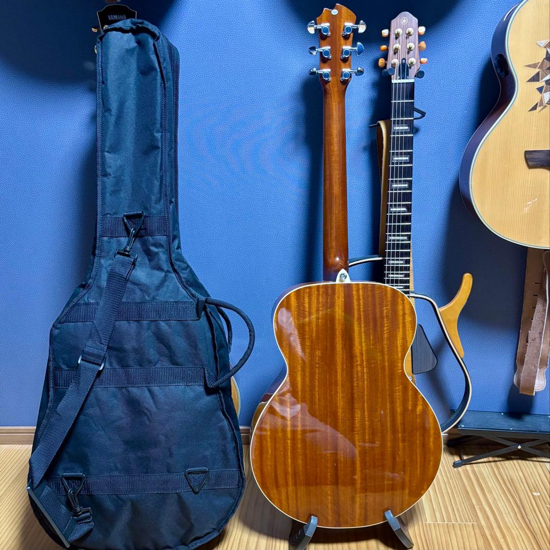 美品【トランスギター】James JF400-NAT ケース付き（値下げ中）