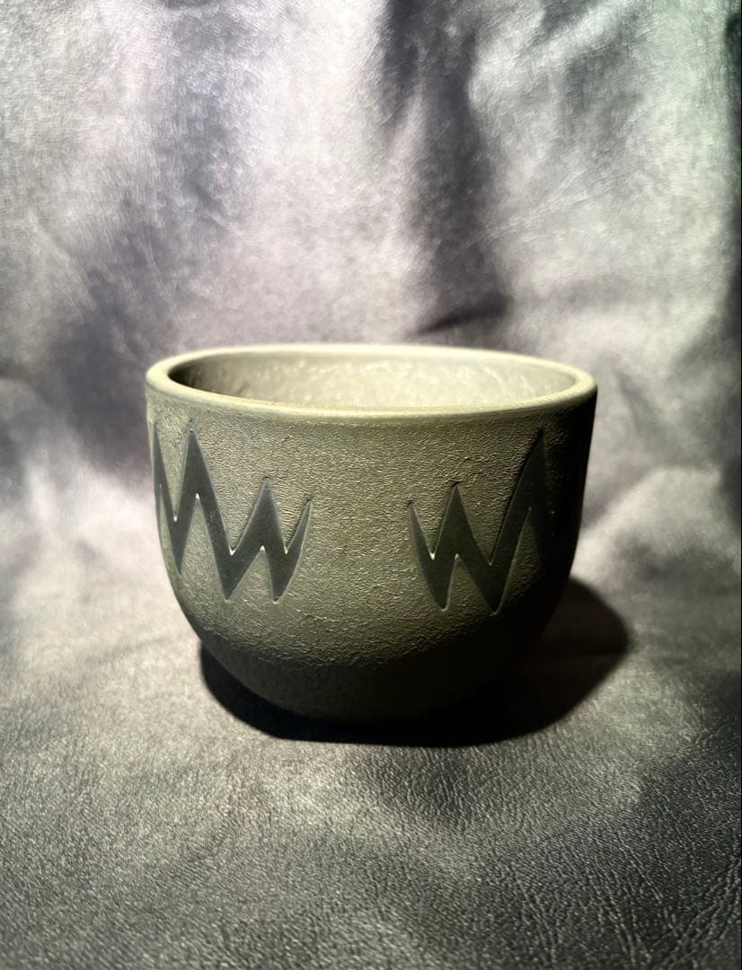 VALIEM ASURA ×Willing plant bitter Sサイズ