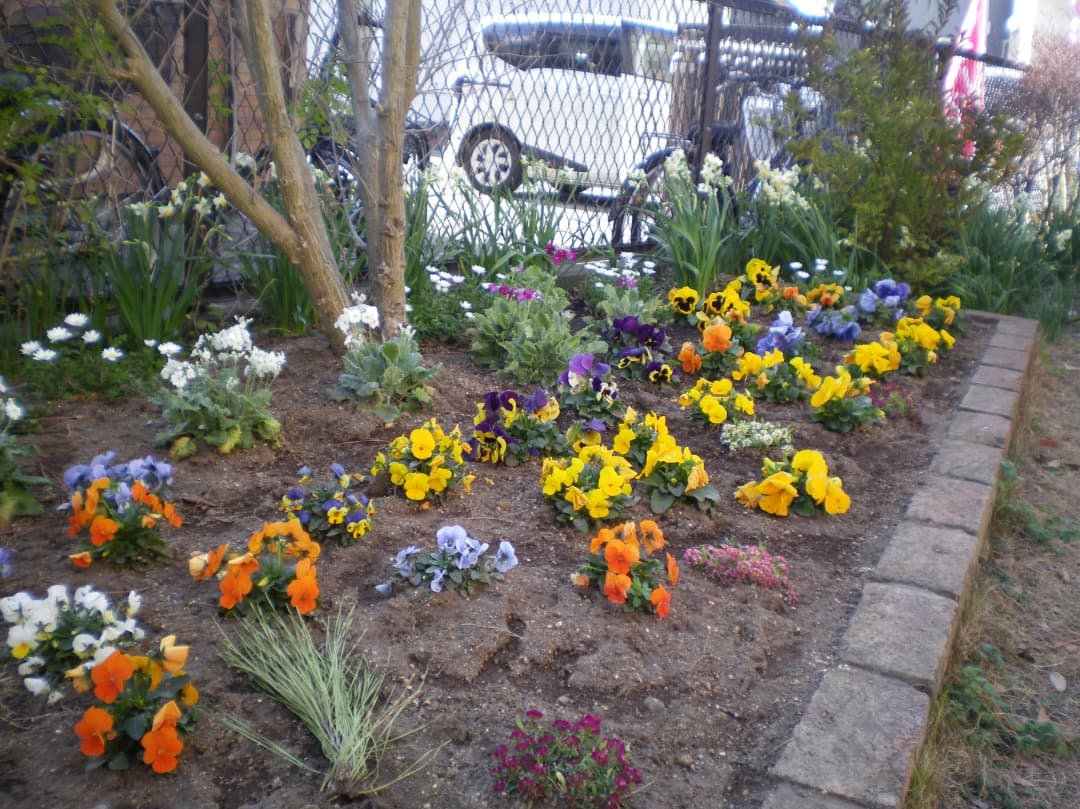 乾電池式/実写美⭕️良品【動作確認済】PENTAX Optio E70