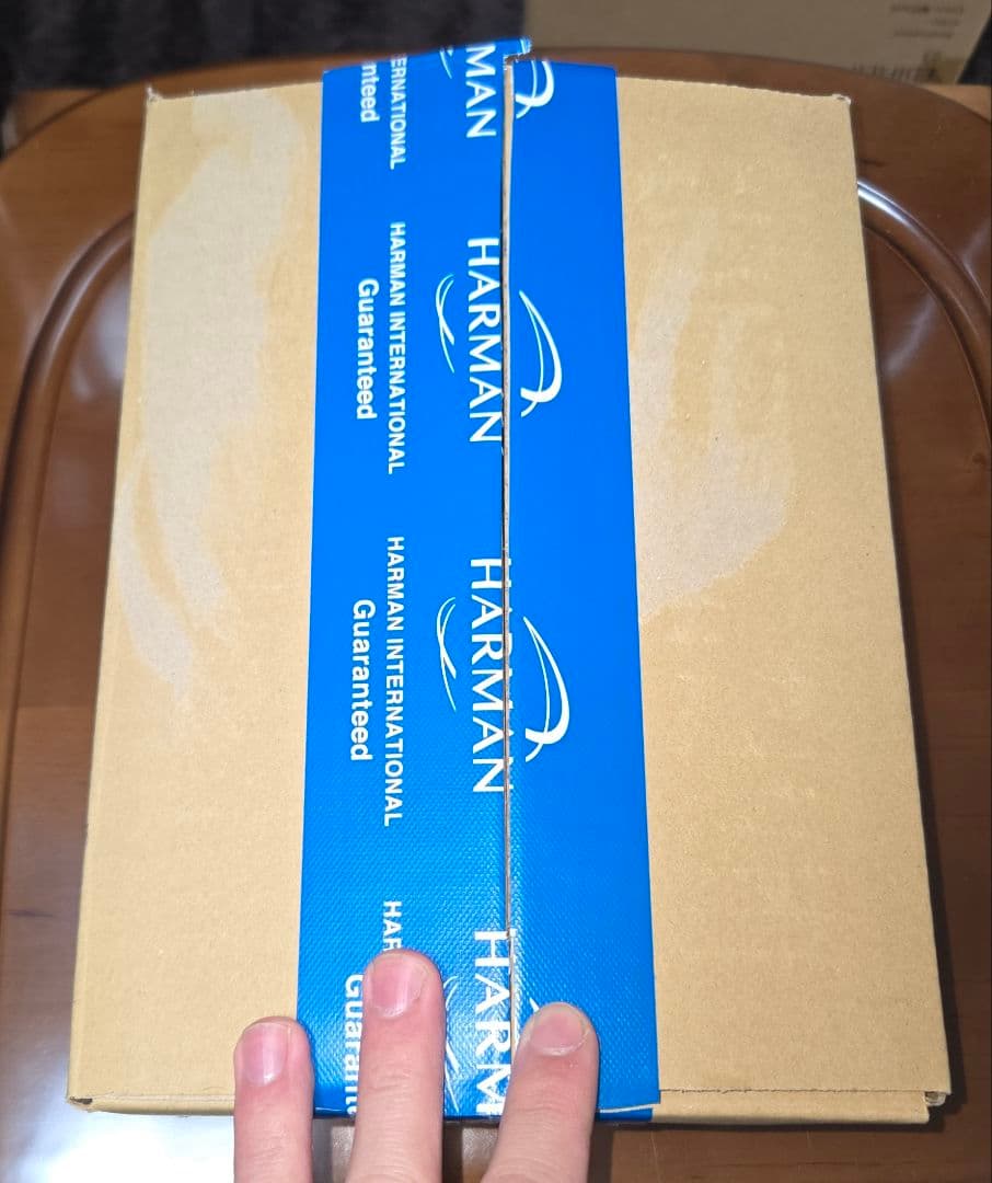 新品未開封 JBL LIVE BUDS3 シルバー 社外ケース付き