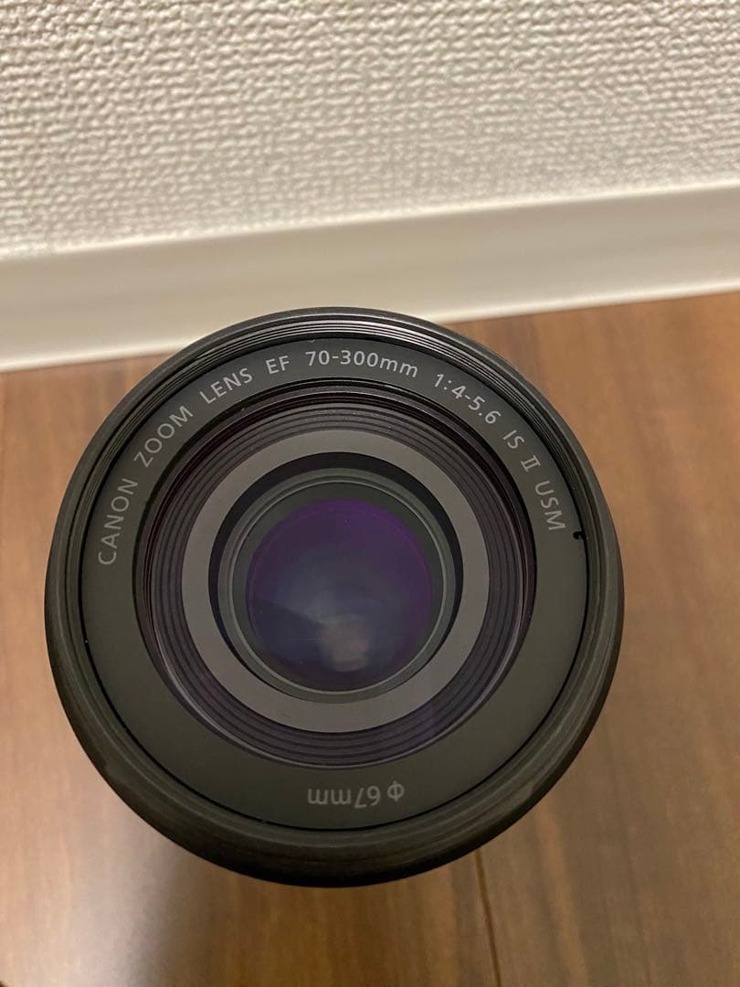 Canon EF70-300mm F4-5.6 IS II USM フルサイズ