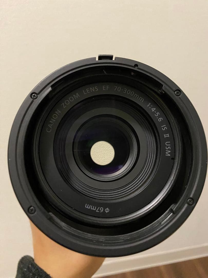 Canon EF70-300mm F4-5.6 IS II USM フルサイズ