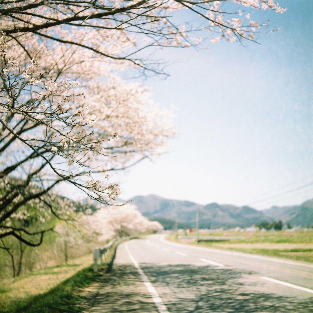 完動品◎Minolta AUTOCORD ミノルタ 二眼レフ フィルムカメラ