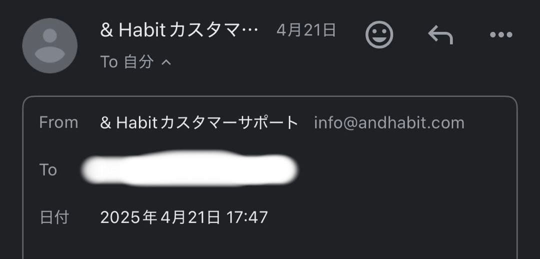 SALONIA EMS LIFT BRUSH シルバー USBケーブル付