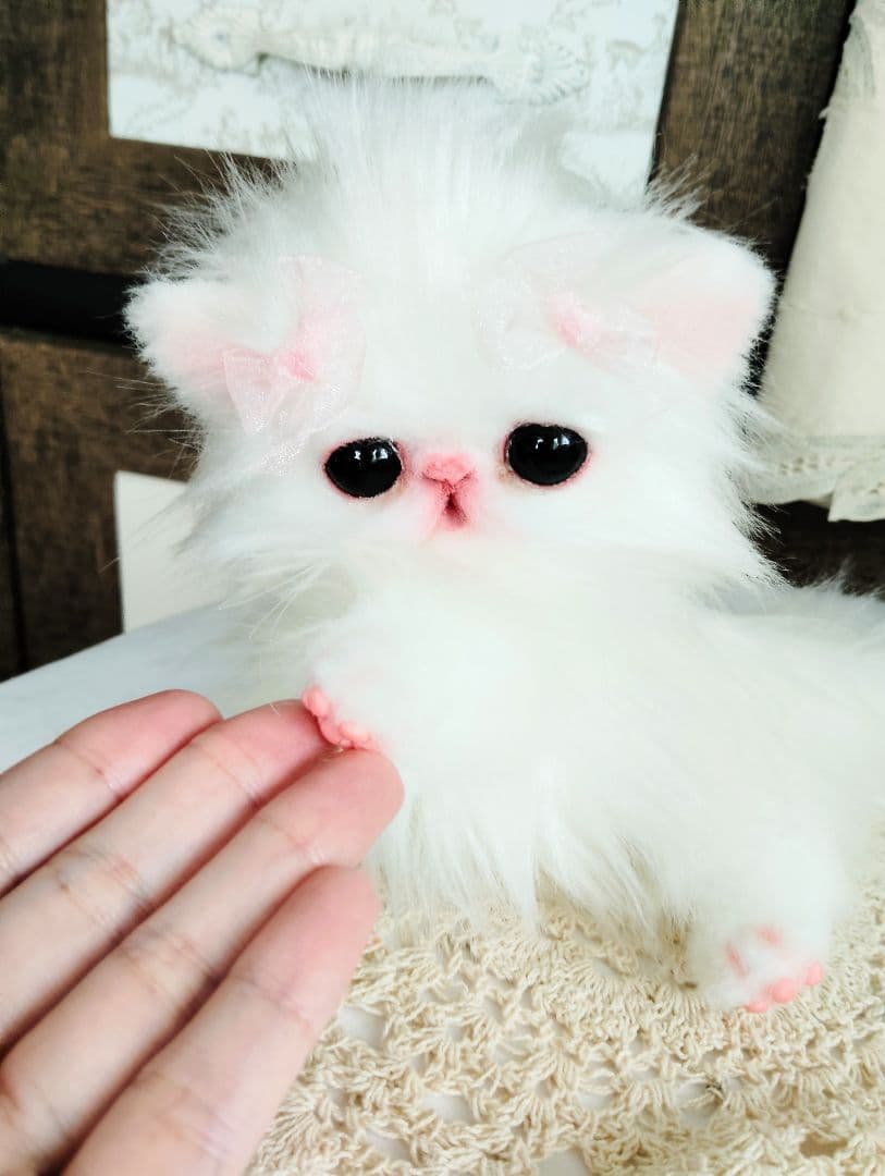 きゅるんオメメ♡子猫のレモンちゃん♡エキゾチック♡アートドール♡ぬいぐるみ♡