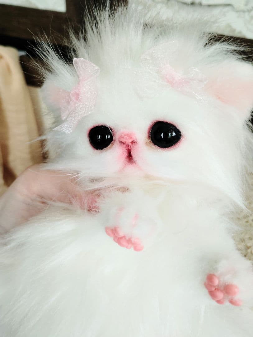 きゅるんオメメ♡子猫のレモンちゃん♡エキゾチック♡アートドール♡ぬいぐるみ♡