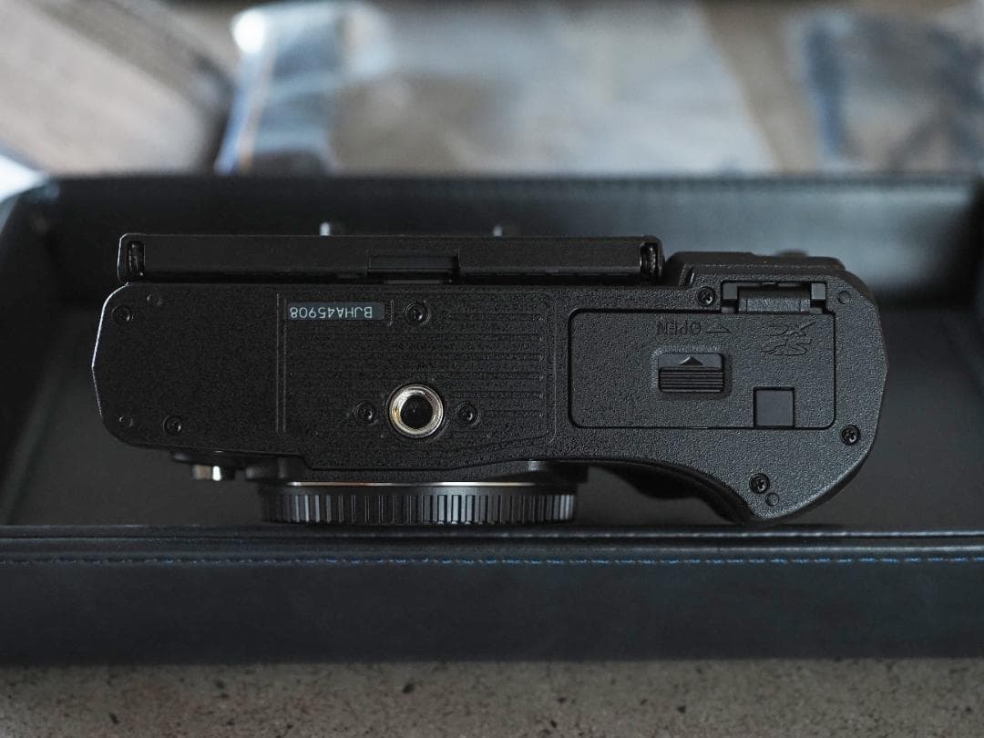 1月購入！ OLYMPUS OM-D E-M10 Mark Ⅳ　撮影1112枚