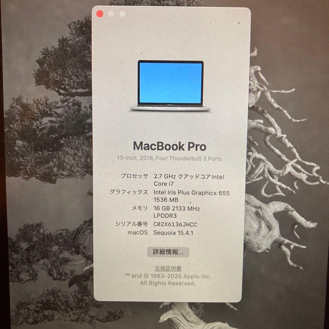 MacBookPro 2018 corei7 16gb 1TB ジャンク