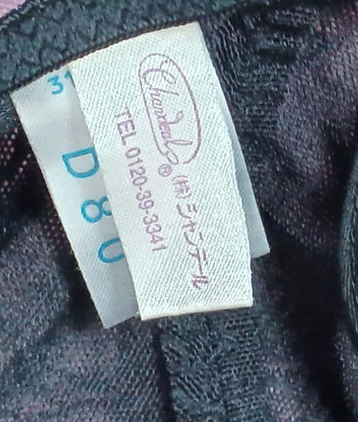 シャンデール　ボディスーツD80