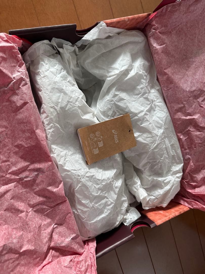 ASICS×doublet GEL QUANTUM 360 I AMP 27cm