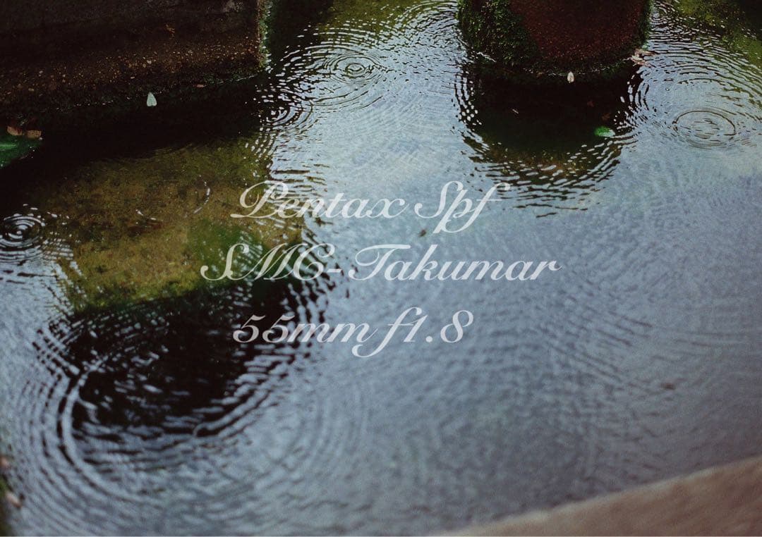 試写作例多数★pentax spf★リザード本革ブラック★美品＊完動品＊初期保証