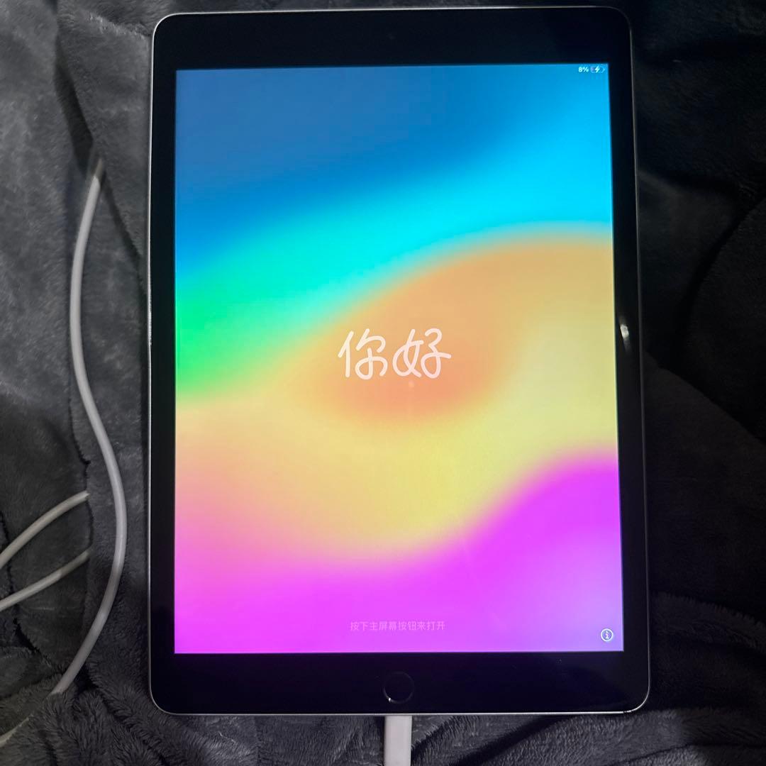 Apple iPad シルバー 動作確認済み