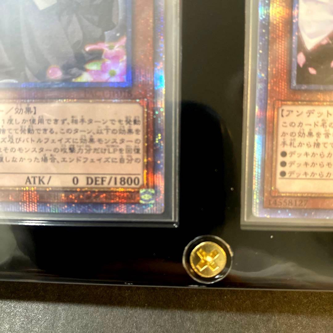 【希少５つ目４つ目個体のみ！手札誘発妖女コレクション】遊戯王　灰流うらら　等