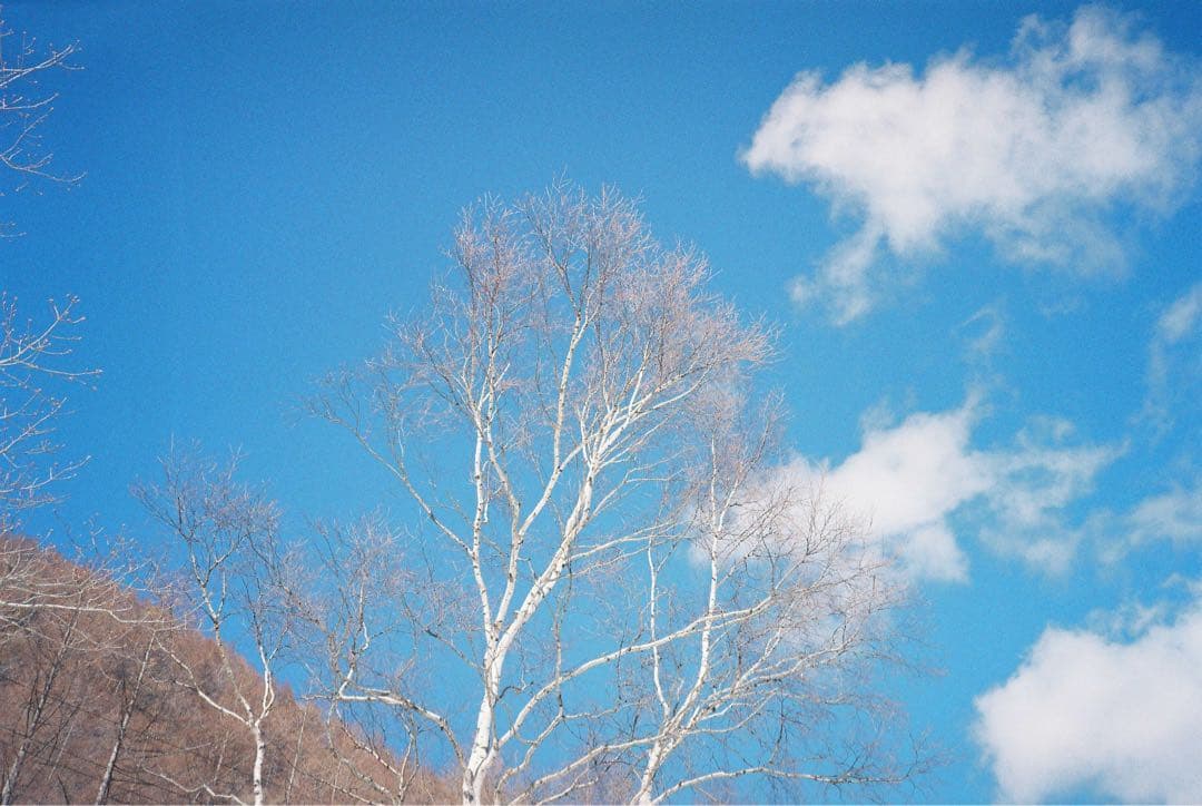 【撮影・OH済み】Konica現場監督 35 希少なオリーブカラー