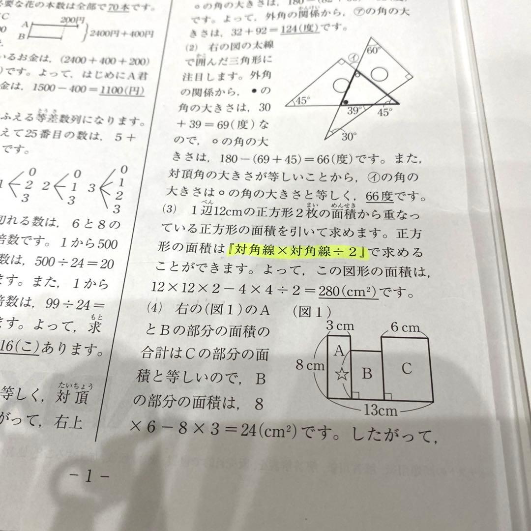 【原本】SAPIXサピックス4年テスト1年分　12回分　2021年