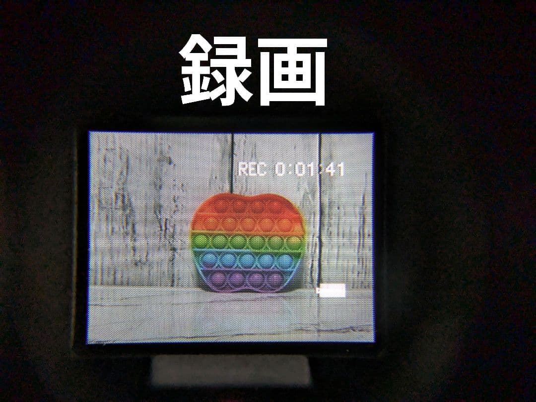 SONY　CCD-TR250　Video8　8mm対応