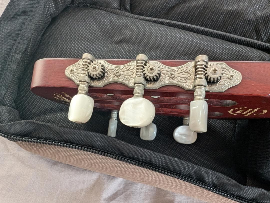 Godin Multiac Steel Duet ゴダン スチール デュエット