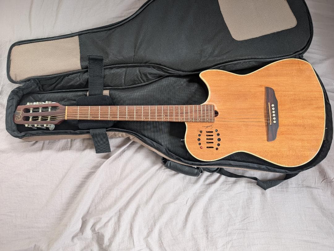 Godin Multiac Steel Duet ゴダン スチール デュエット