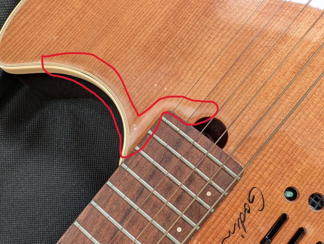 Godin Multiac Steel Duet ゴダン スチール デュエット