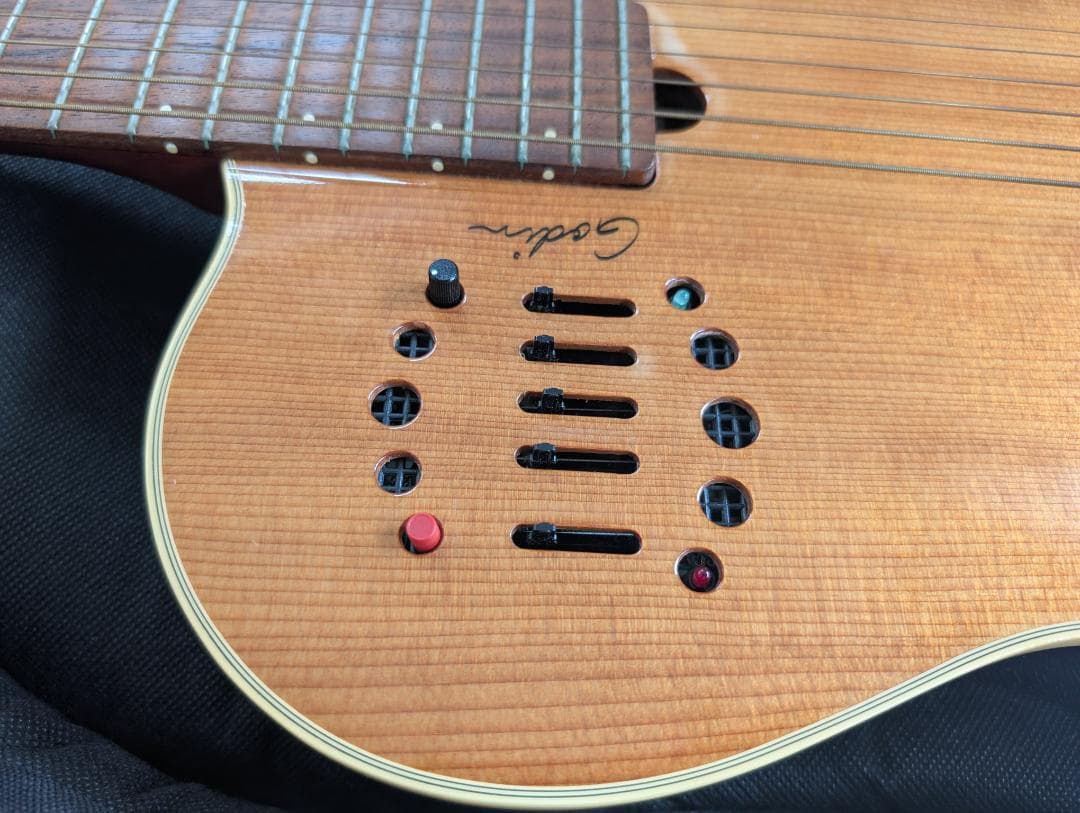 Godin Multiac Steel Duet ゴダン スチール デュエット