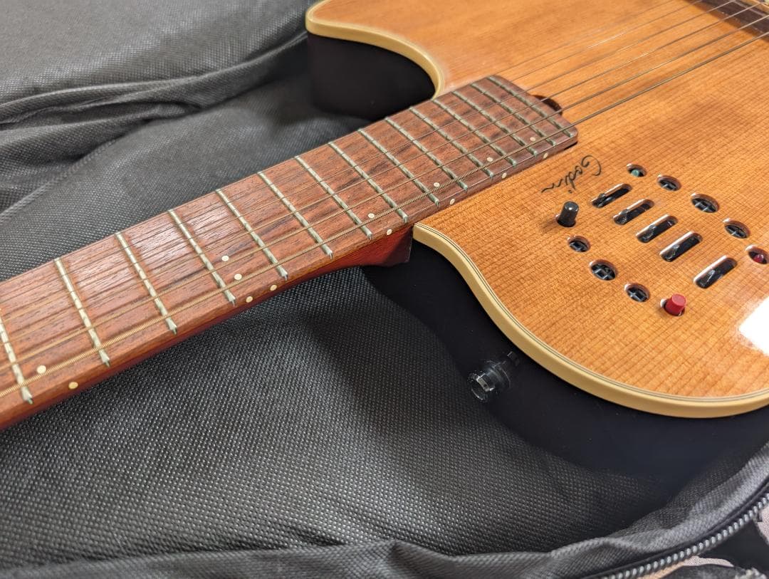 Godin Multiac Steel Duet ゴダン スチール デュエット