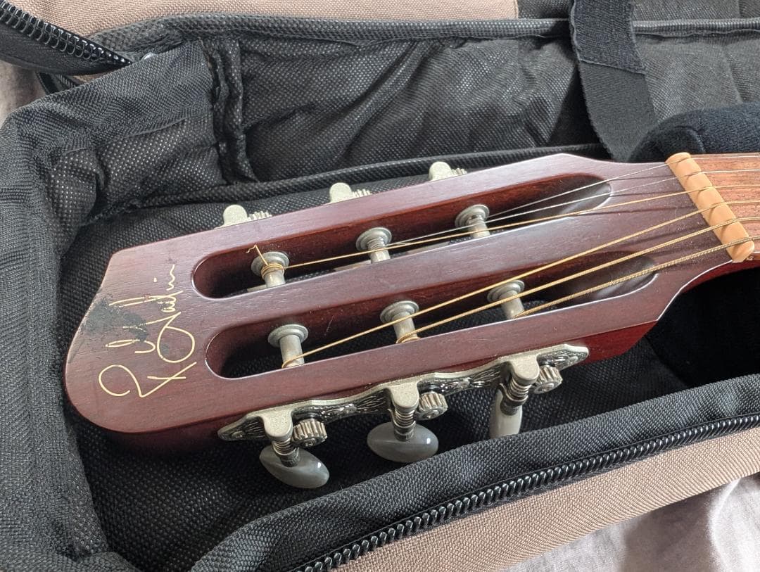 Godin Multiac Steel Duet ゴダン スチール デュエット