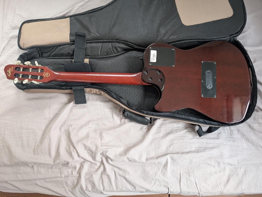 Godin Multiac Steel Duet ゴダン スチール デュエット