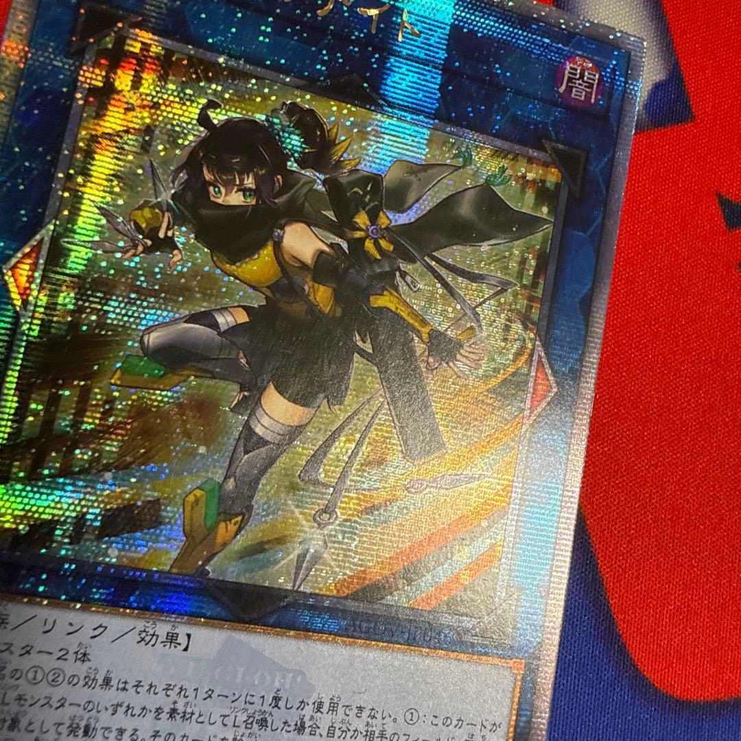 spリトルナイト クオシク