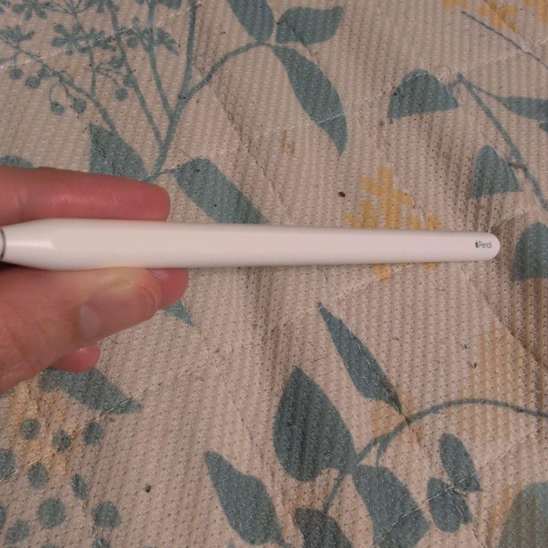 a*1様 美品iPad Pro　m1 第三世代256ギガ+ApplePencil