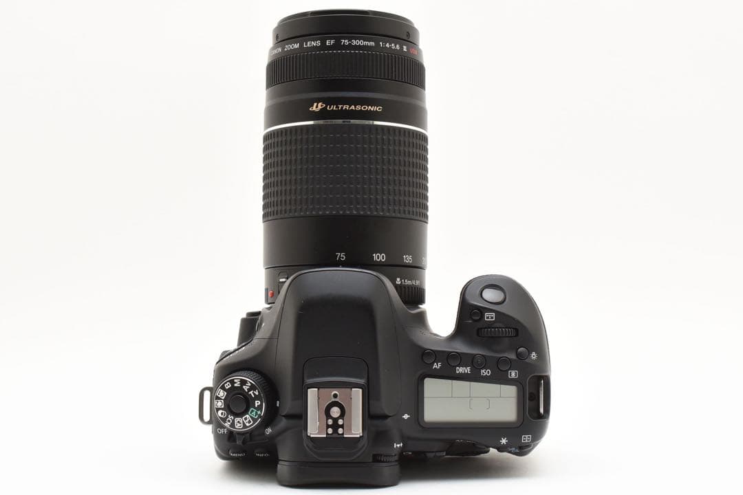 Canon EOS 80D標準レンズセット/Canon 75-300mm