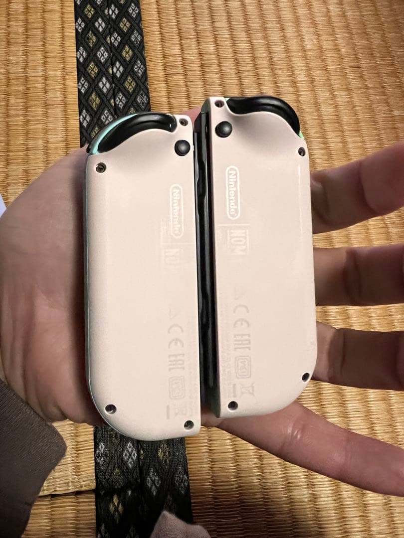 あつ森Nintendo Switch 本体 ホワイト/ミントグリーン