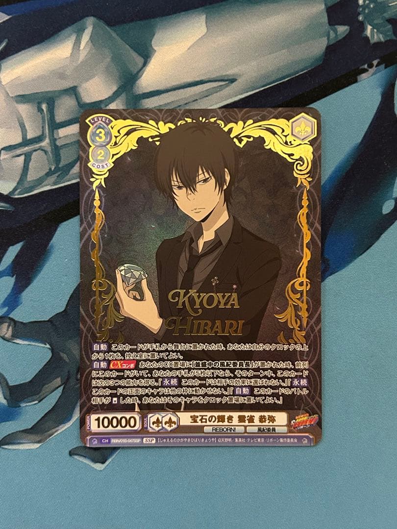 【最終値下げ】宝石の輝き　雲雀恭弥　ssp