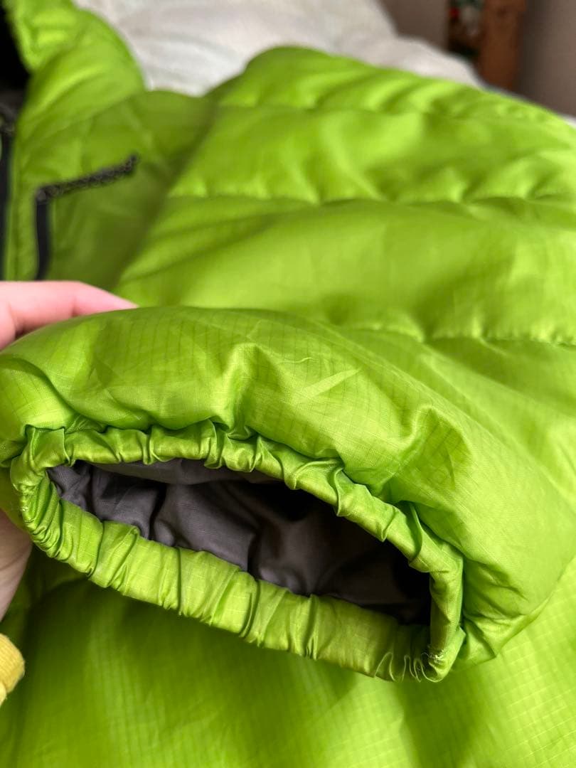 patagonia / DAS PARKA (ゲッコーグリーン）Mサイズ