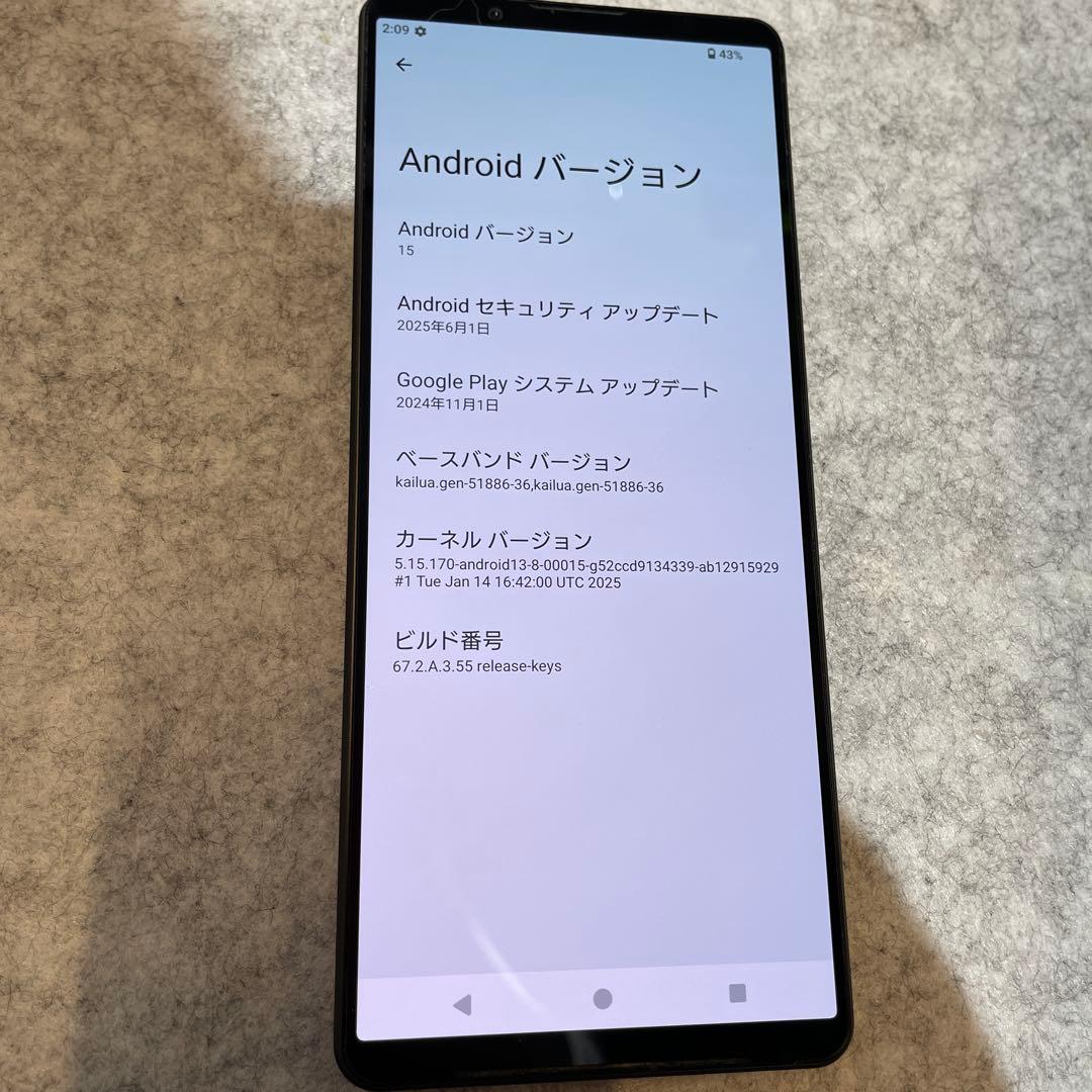 P001 au SIMフリー　Xperia 1 V SOG10