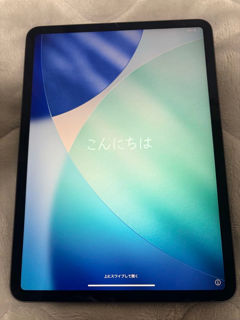 iPad Pro11インチ 256GB第三世代