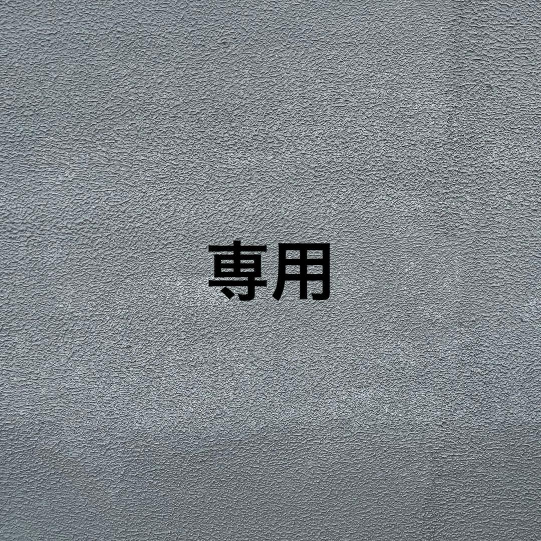 富井パパさま専用__patagoniaシェルドシンチラジャケット