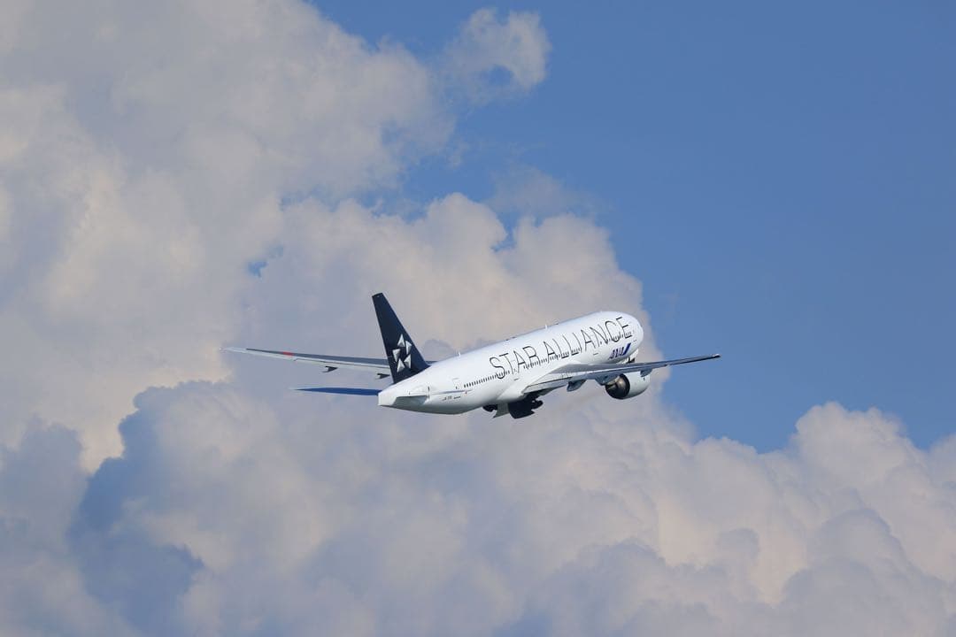 Canon EF 70-300mm f/4-5.6L IS USM フード付美品