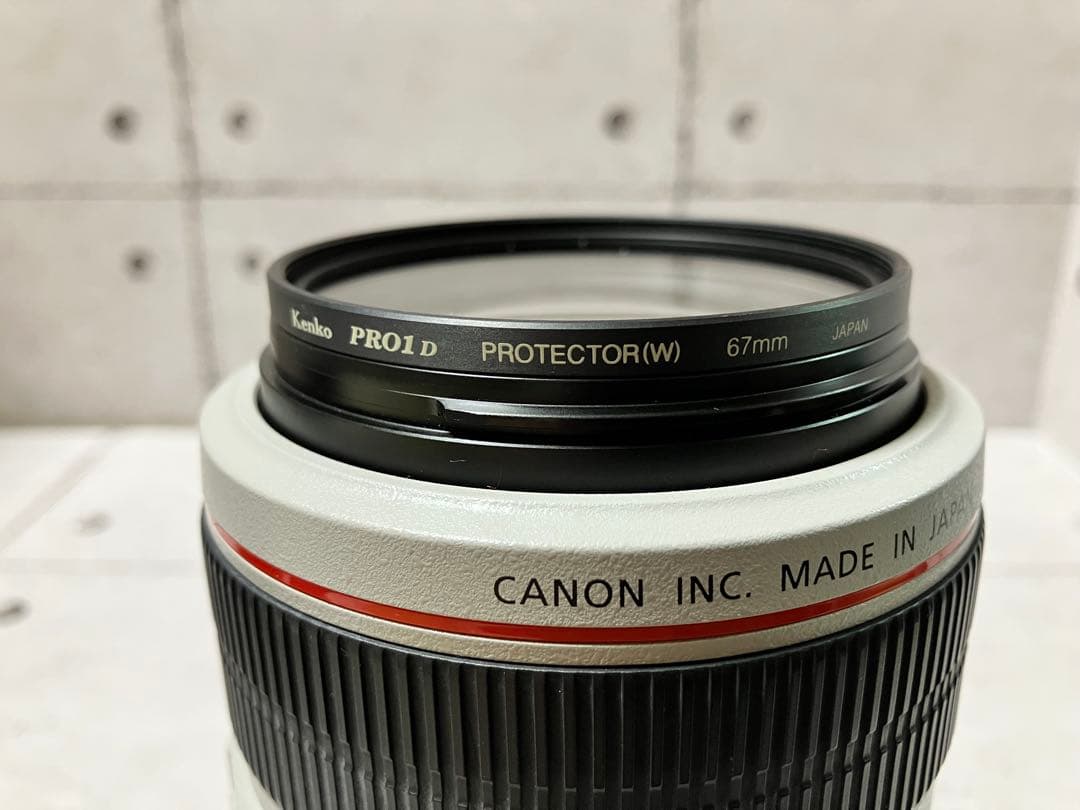 Canon EF 70-300mm f/4-5.6L IS USM フード付美品