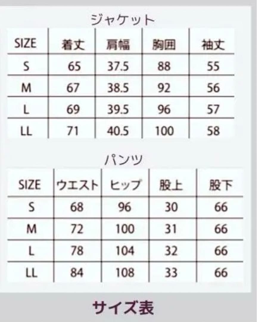 空色！新社会人！新採用の方必見！WWS監修　パンツスーツ LL サイズ