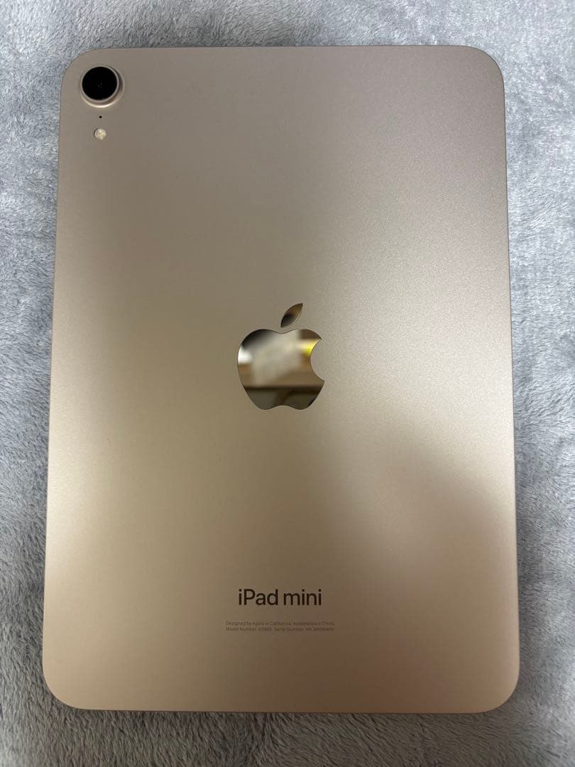 iPad mini ゴールド 本体