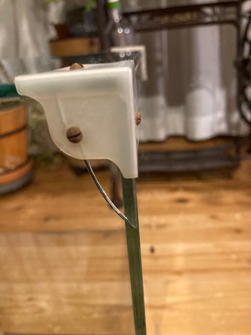 昭和レトロ　ガラスショーケース中棚1段　やまさ製茶　背面引戸