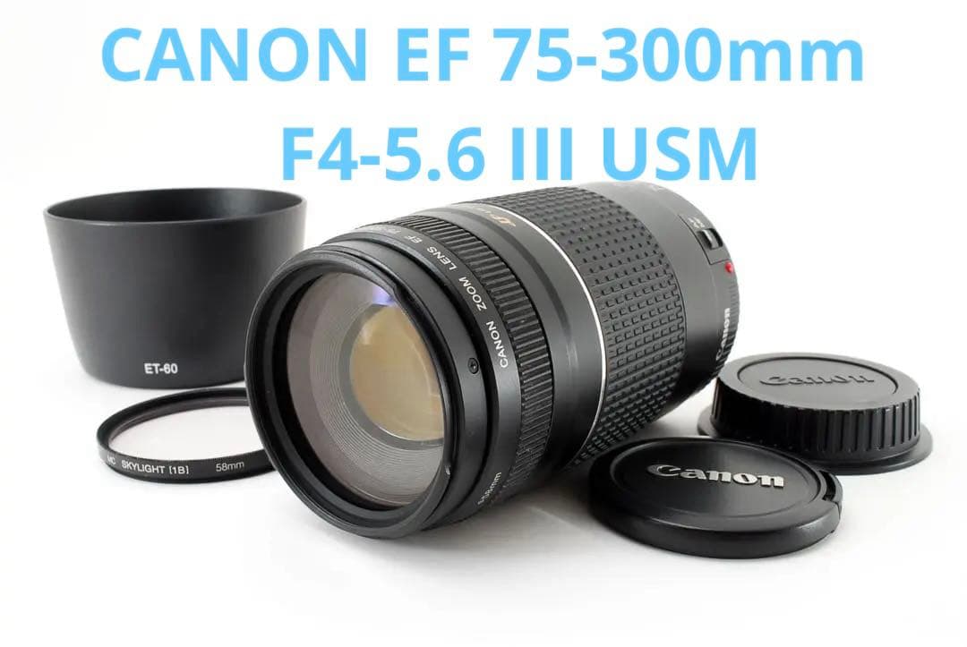 迫力300㎜⭐︎スポーツ⭐︎イベント運動会⭐︎Canon EF75-300 USM