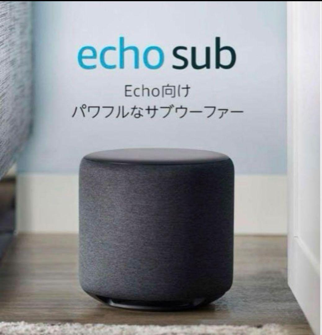 #*様 Echo Sub (エコーサブ) 廃盤 レア商品