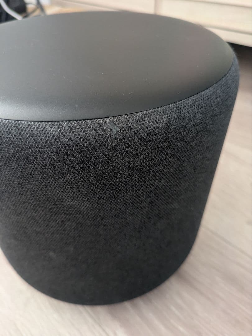 #*様 Echo Sub (エコーサブ) 廃盤 レア商品