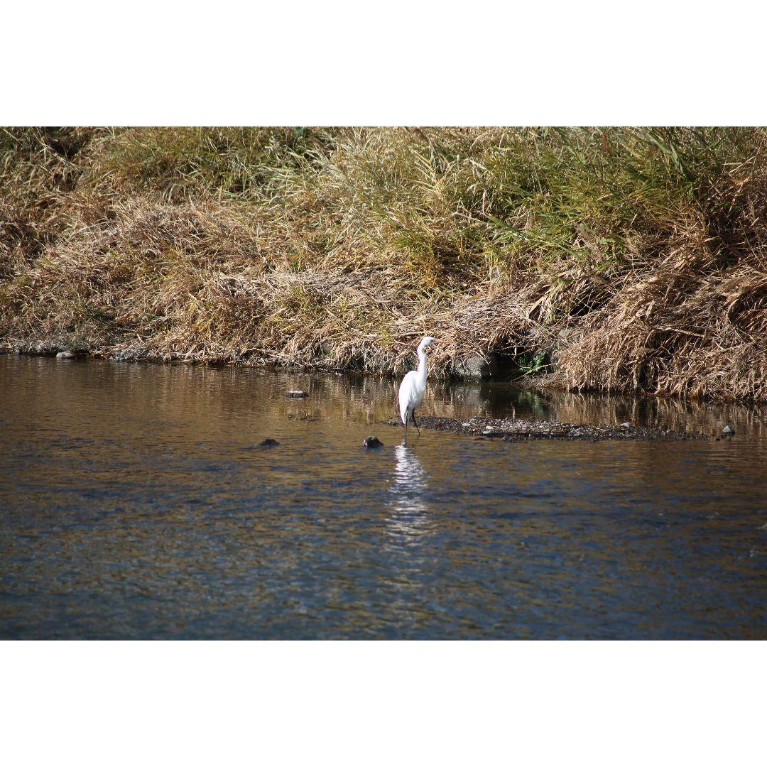 ❤即購入1000円OFF❤ キャノン EF 100-300mm F5.6