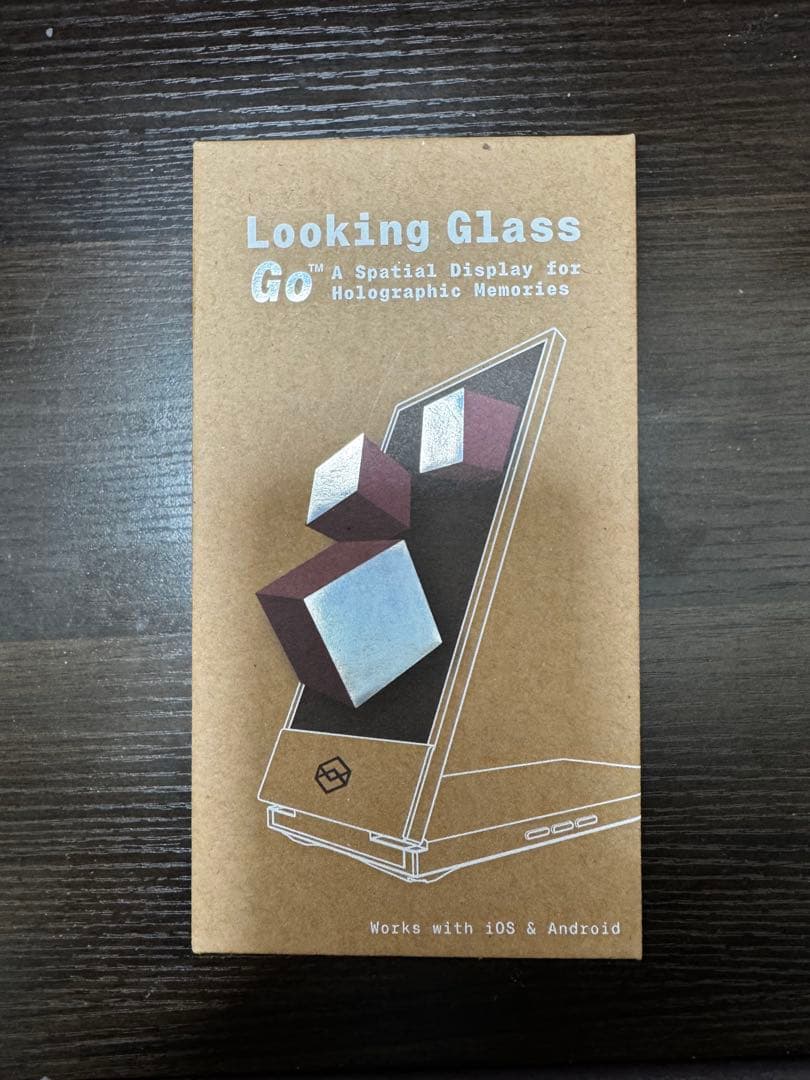 ディスプレイ・モニター本体 Looking Glass Go