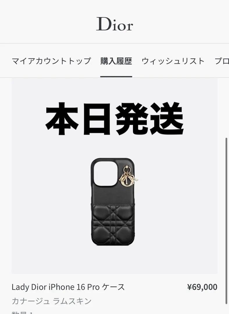本日発送 Dior / Lady Dior iPhone16Pro ケース