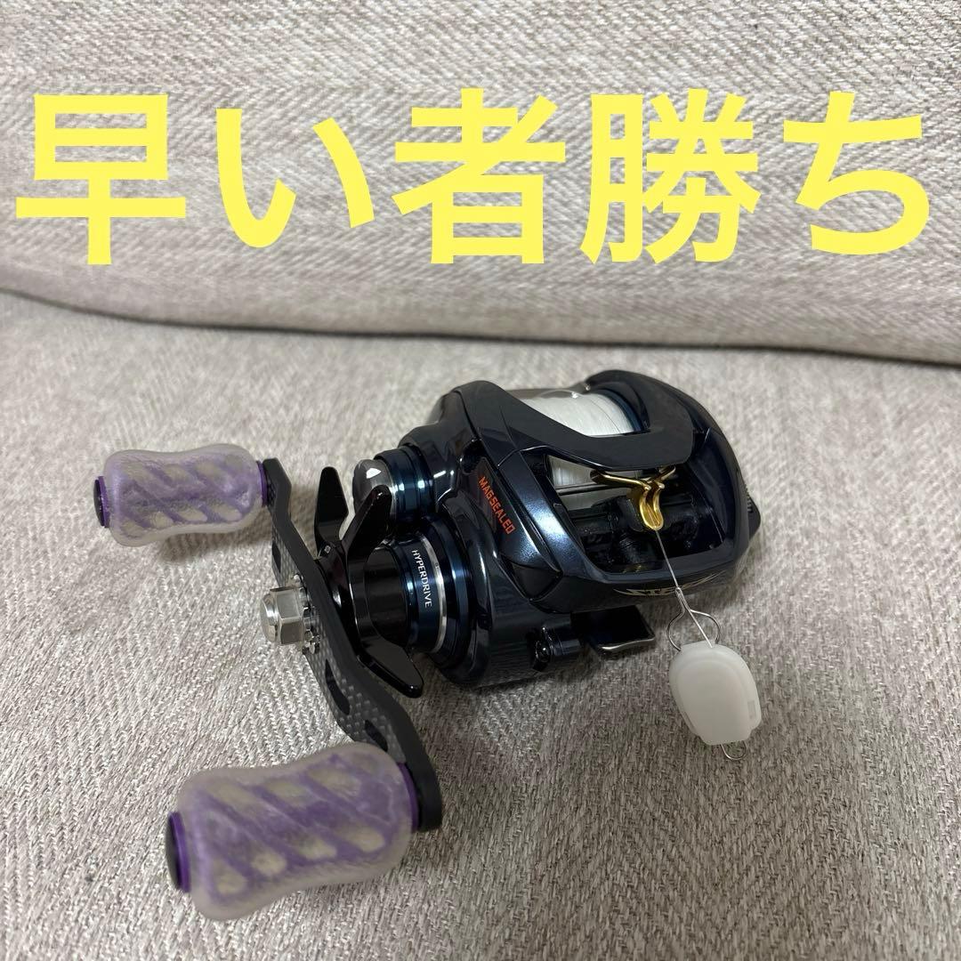 ダイワ STEEZ TW HLC 7.1 スティーズ　ハイパーロングキャスト